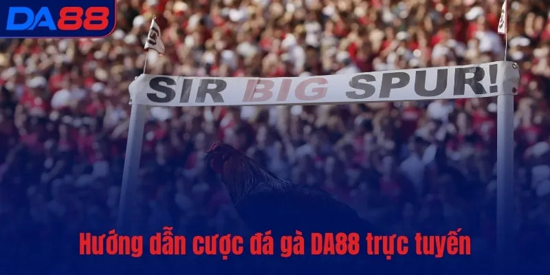 Đá gà DA88 – Bùng nổ đam mê, cháy hết mình từng phút giây - TOTX.BLOG