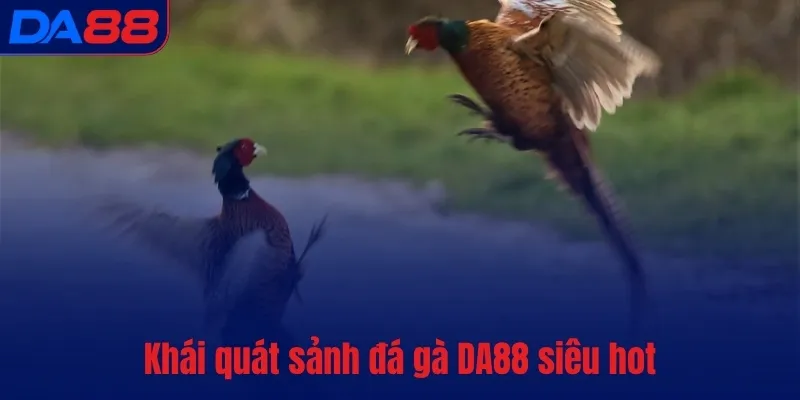 Đá gà DA88 – Bùng nổ đam mê, cháy hết mình từng phút giây - TOTX.BLOG