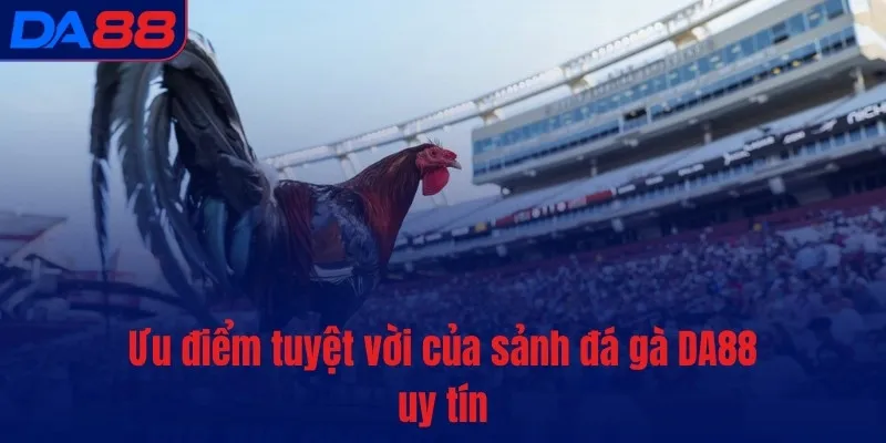 Đá gà DA88 – Bùng nổ đam mê, cháy hết mình từng phút giây - TOTX.BLOG